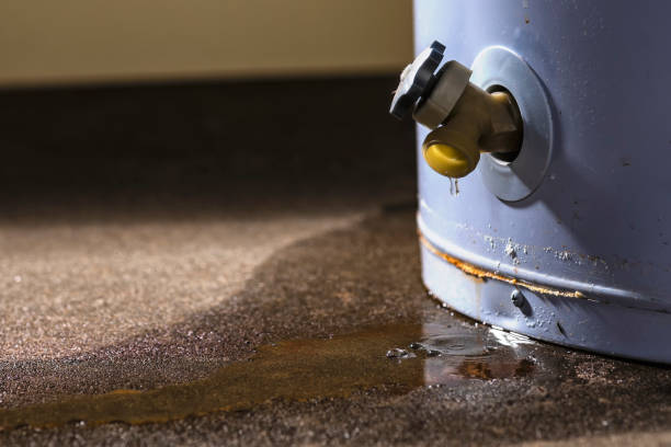 Best Sewage cleanup and water damage restoration  in Royal Hawaiian Estates, HI