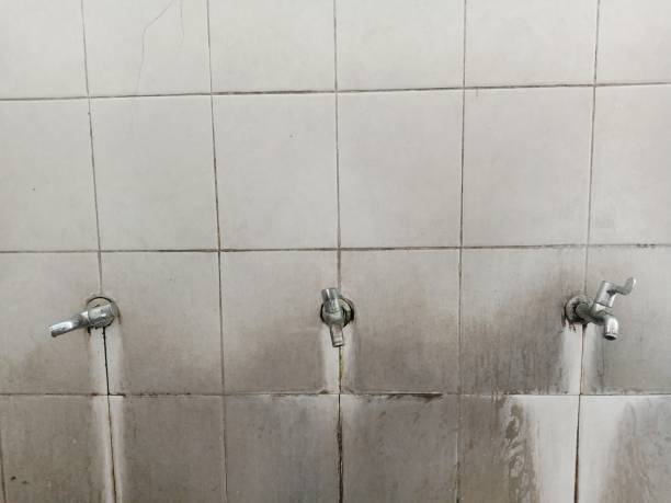 Best Residential water damage restoration  in Royal Hawaiian Estates, HI