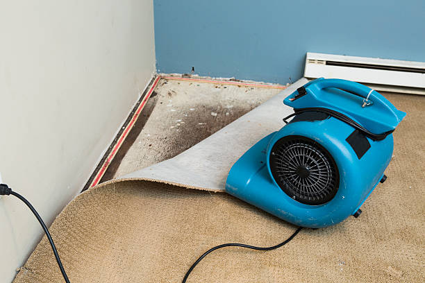 Best Water damage restoration near me  in Royal Hawaiian Estates, HI